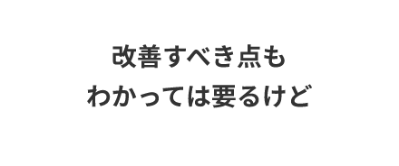 改善すべき点もわかっては要るけれど
